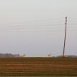 20160328-01