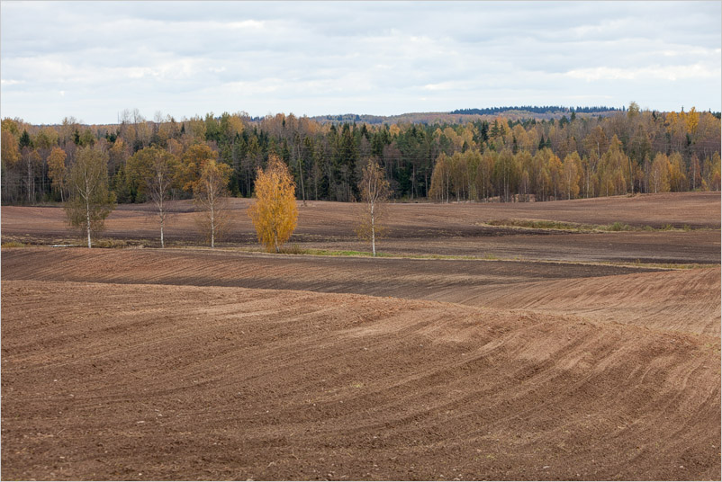 20161016-06