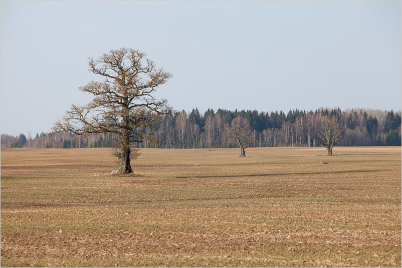 20180414-l-07