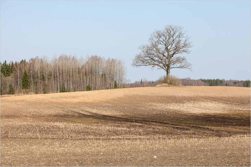 20180414-l-13
