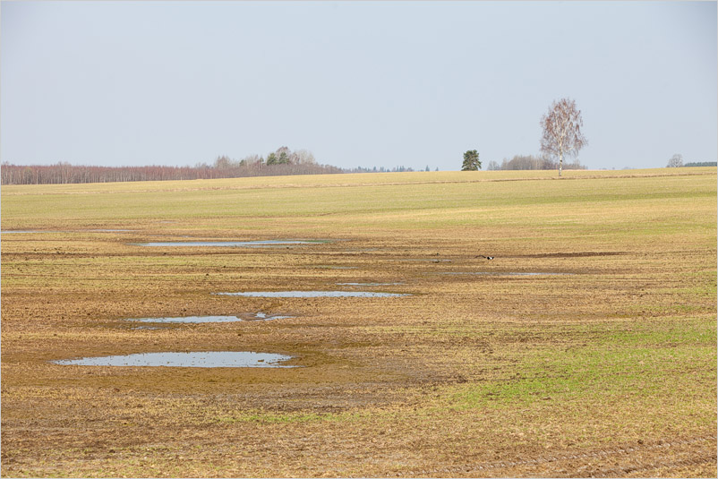 20180414-l-19
