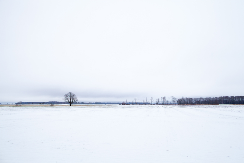 20181228-08