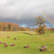 20191012-02