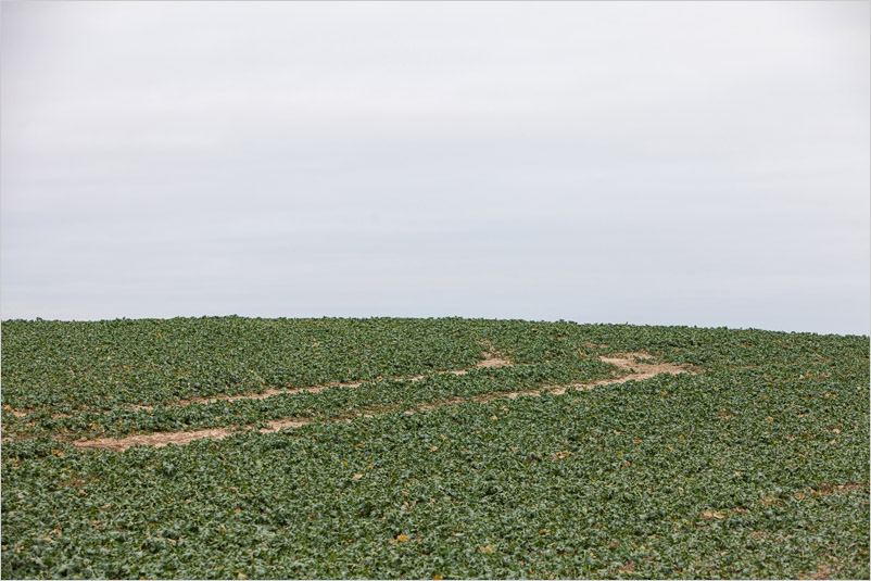 20191229-07