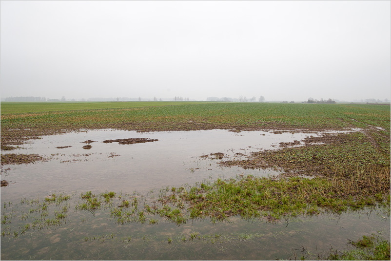 20200118-01