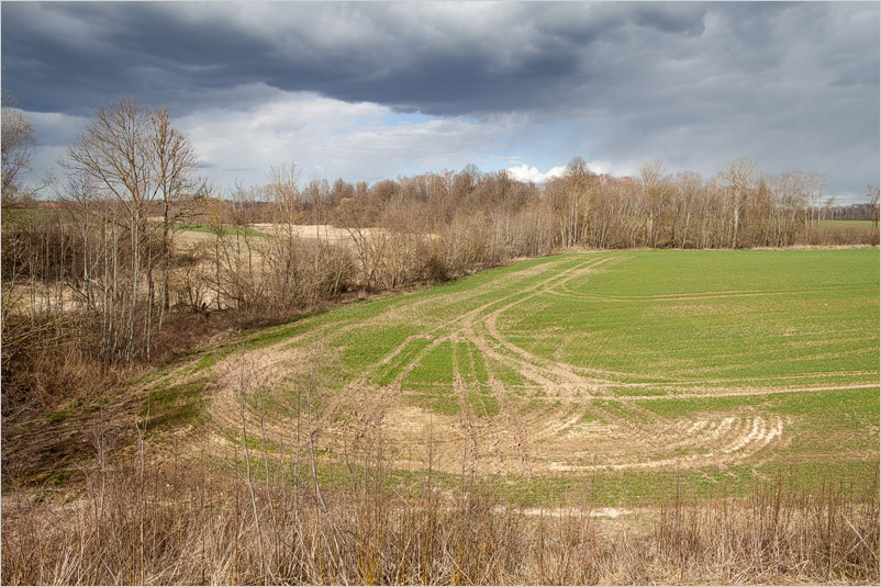 20200410-06