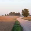 20200806-03