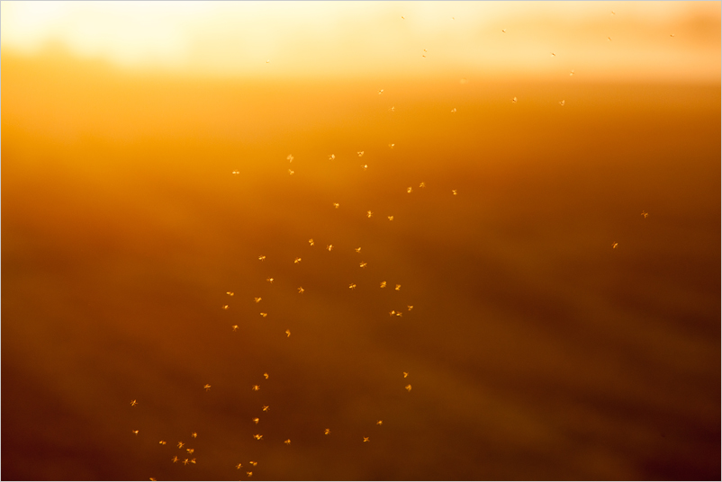20200814-10