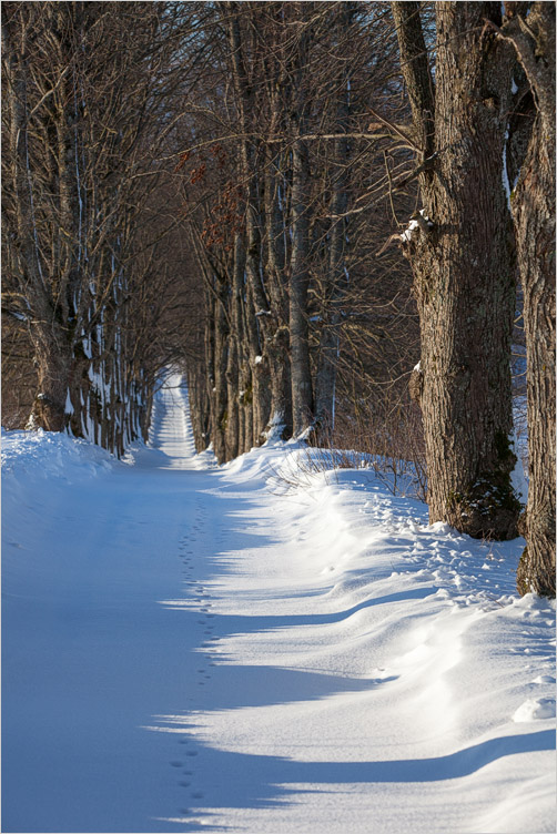 20210131-20