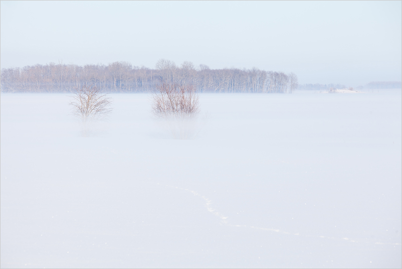 20210207-34