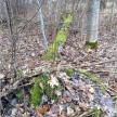 20210314-mob-07