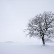 20211224-18