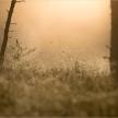 20230707-ct-45
