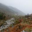 20120417-IMG_3935