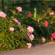 20150626-03