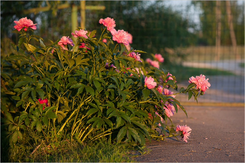 20150626-04