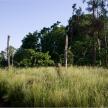 20070609-02