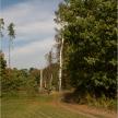 20070930-01