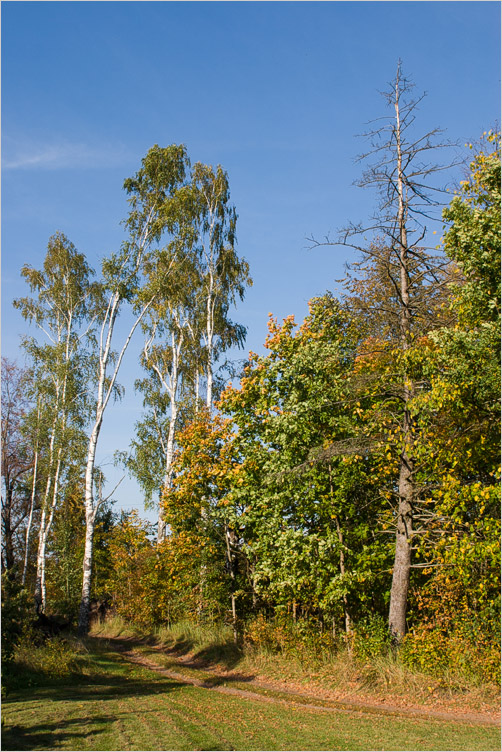 20070930-02