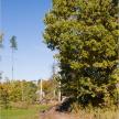 20071014-01