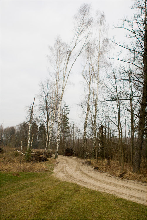 20080209-01