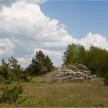 20080505-03