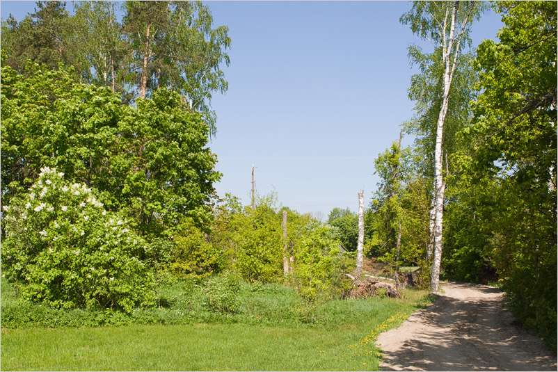 20080518-01
