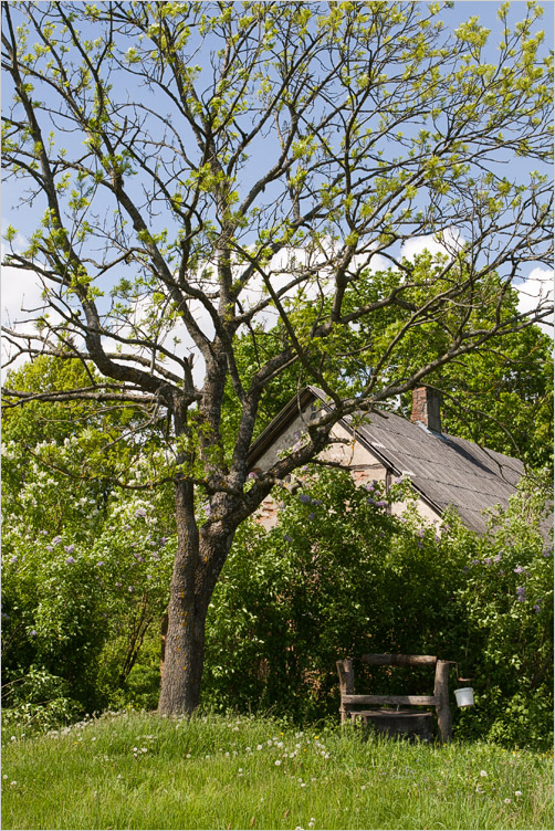 20080518-03