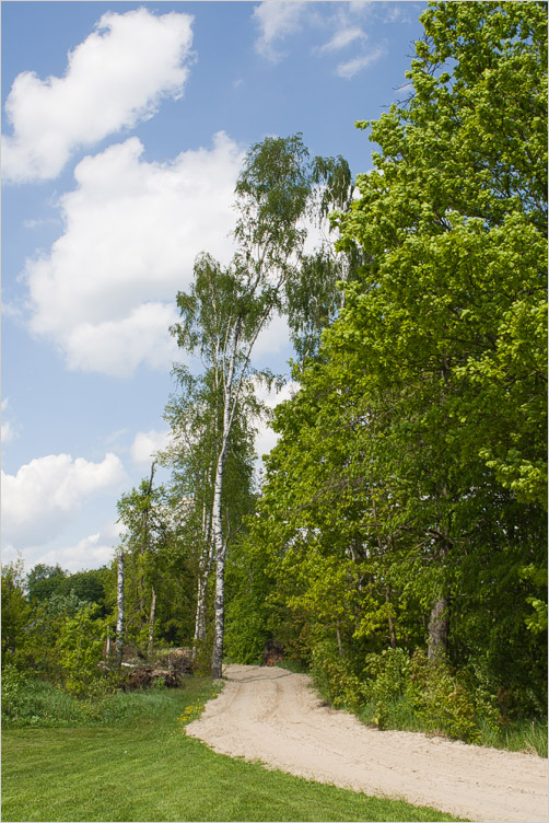 20080518-04