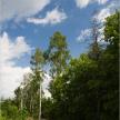 20080622-01