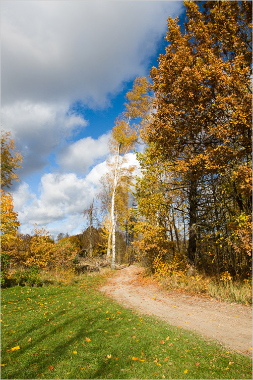 20081019-01