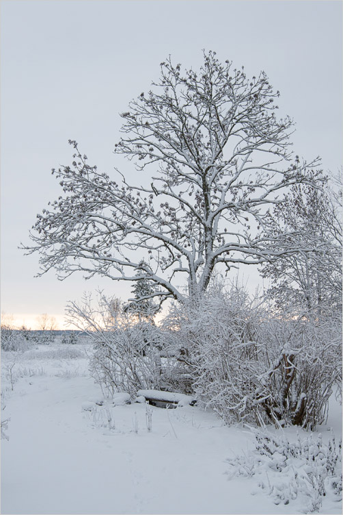 20081226-02