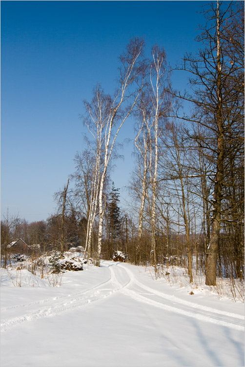 20090221-01