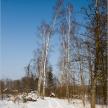 20090221-01