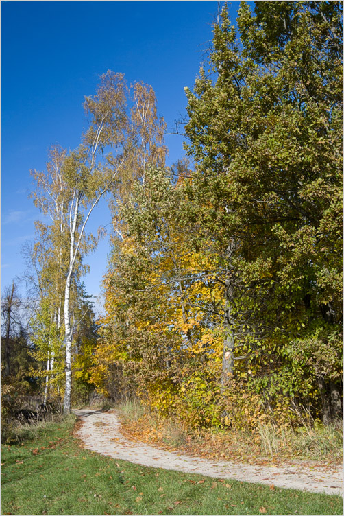 20101017-01
