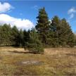 20200415-01